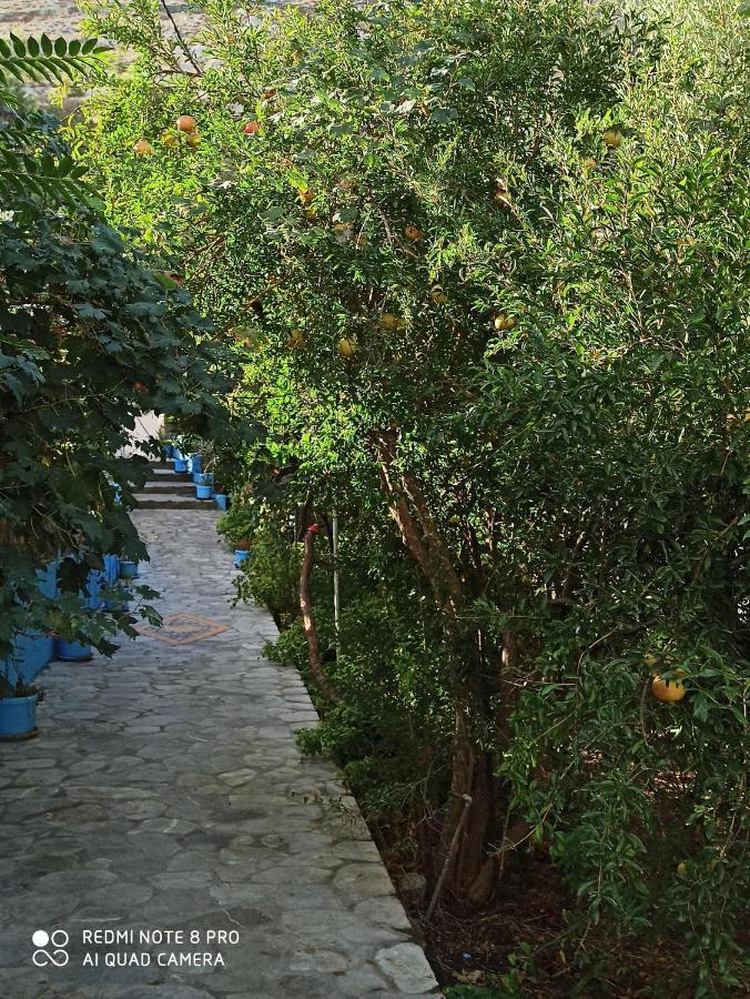 Giannis Apartments By Climbing House Panormos  Extérieur photo
